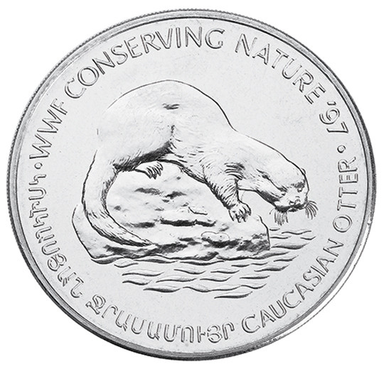 Caucasian Otter