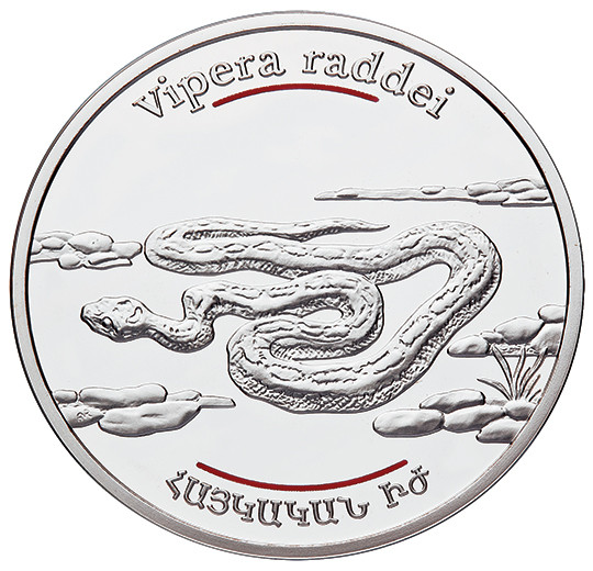 Armenian Viper