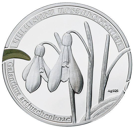 Galanthus artjuschenkoae