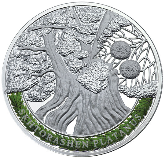 Skhtorashen Platanus