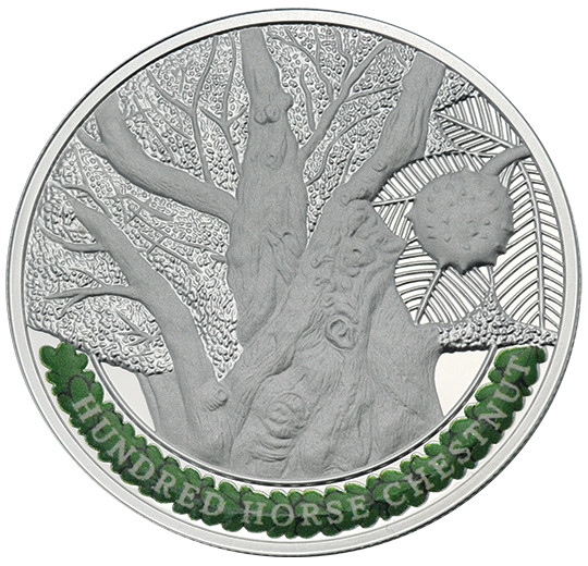 Hundred Horse Chestnut