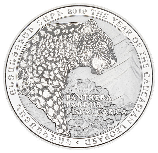 Year of Caucasian Leopard